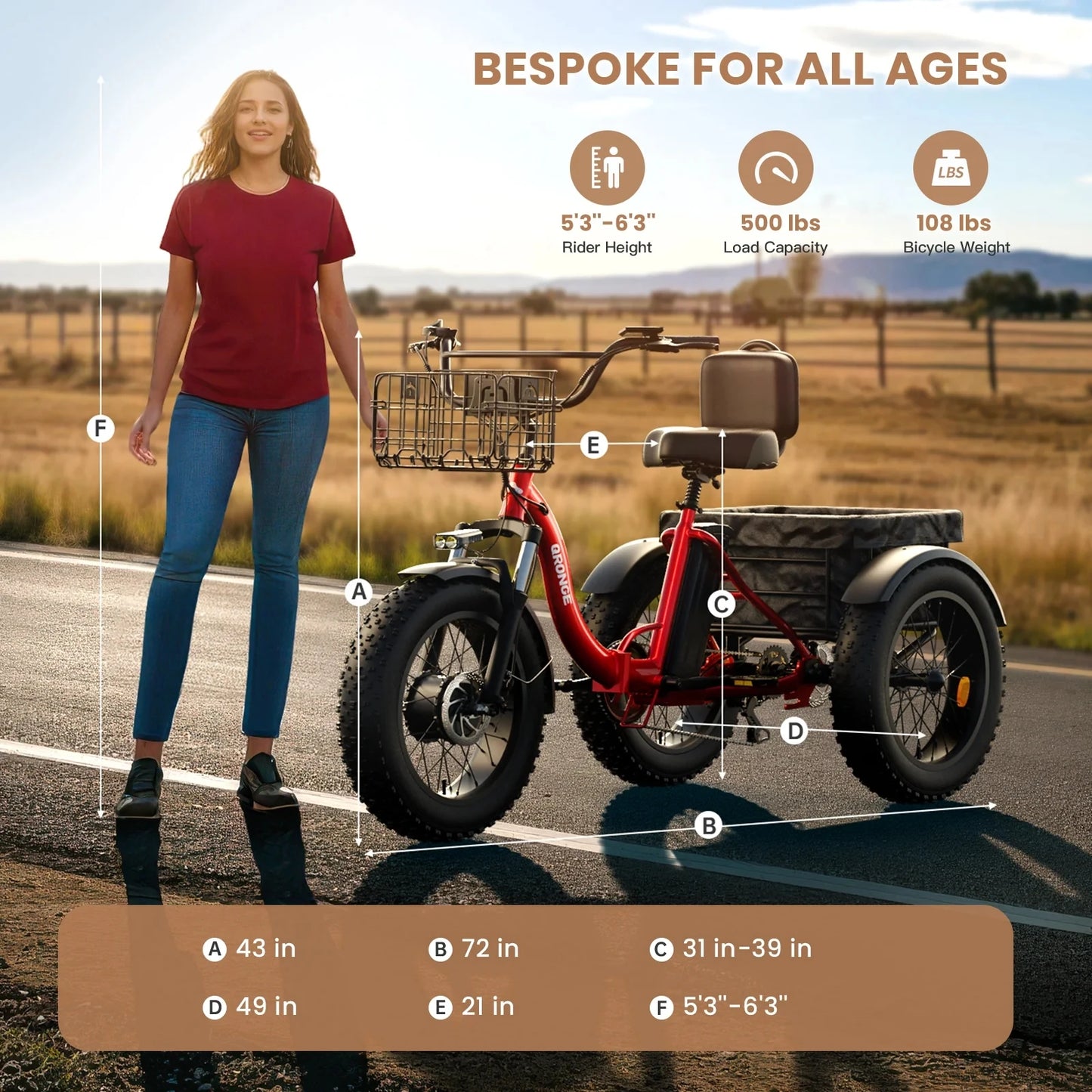 Qronge Electric Tricycle With 960W Motor And Fat Tires