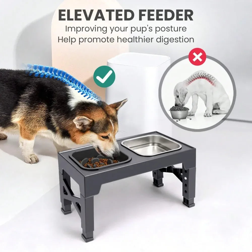 Elevated Stainless Steel Dog Bowl With Slow Feeder