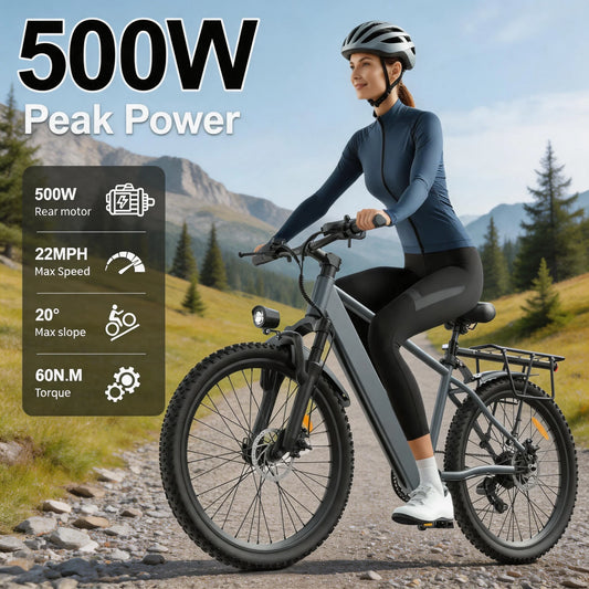 UPlee L24 Electric Bike 500W 36V Fat Tire Mountain Bicycle for Adults