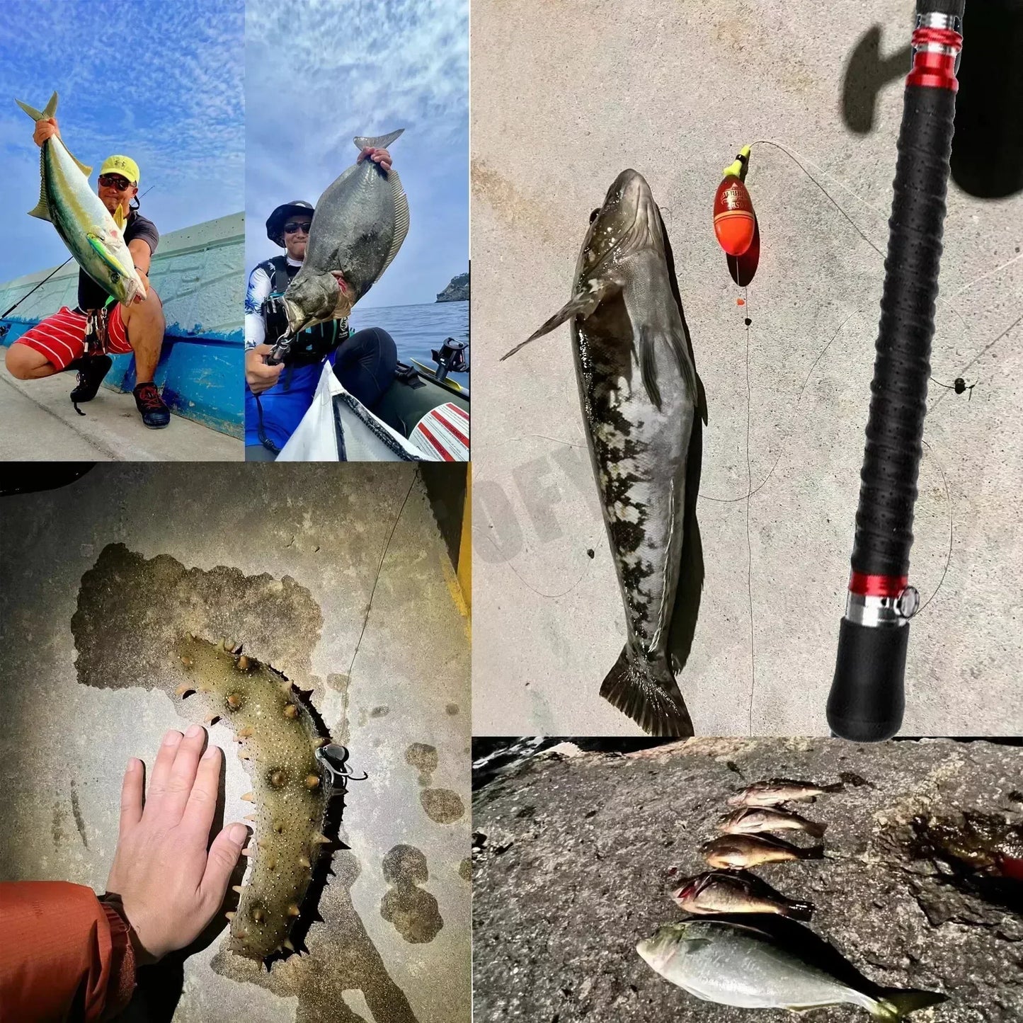 Portable Saltwater 3 Piece Carbon Spinning Rod 30 to 50lb
