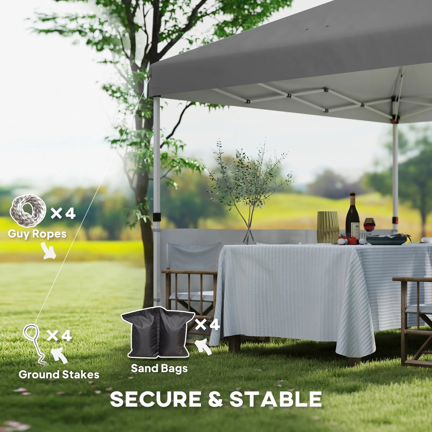 10' X 10' Pop up Canopy Tent with 2 Half Sidewalls, Dark Gray