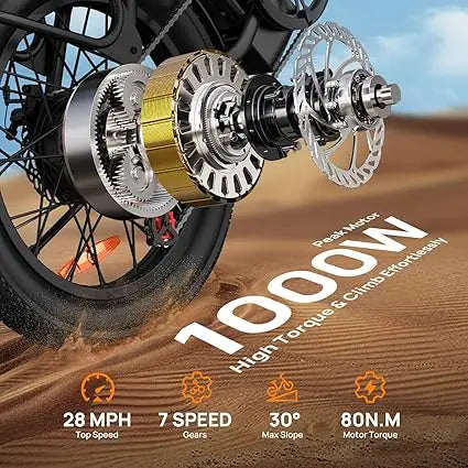 URLIFE 1000W E20 Electric Bike With Removable 48V Battery Dual Disc Brakes