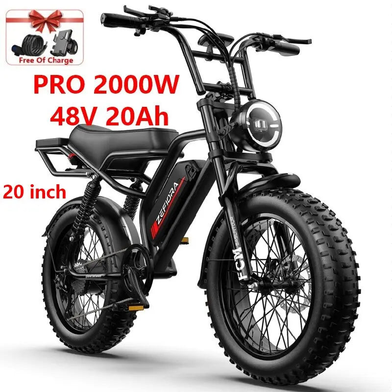ZEFIORA UL2849 Certified Electric Bicycle V12 Brushless Motor