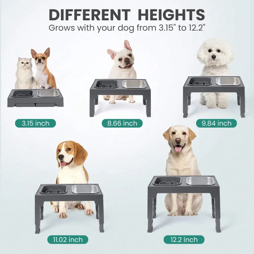 Elevated Stainless Steel Dog Bowl With Slow Feeder