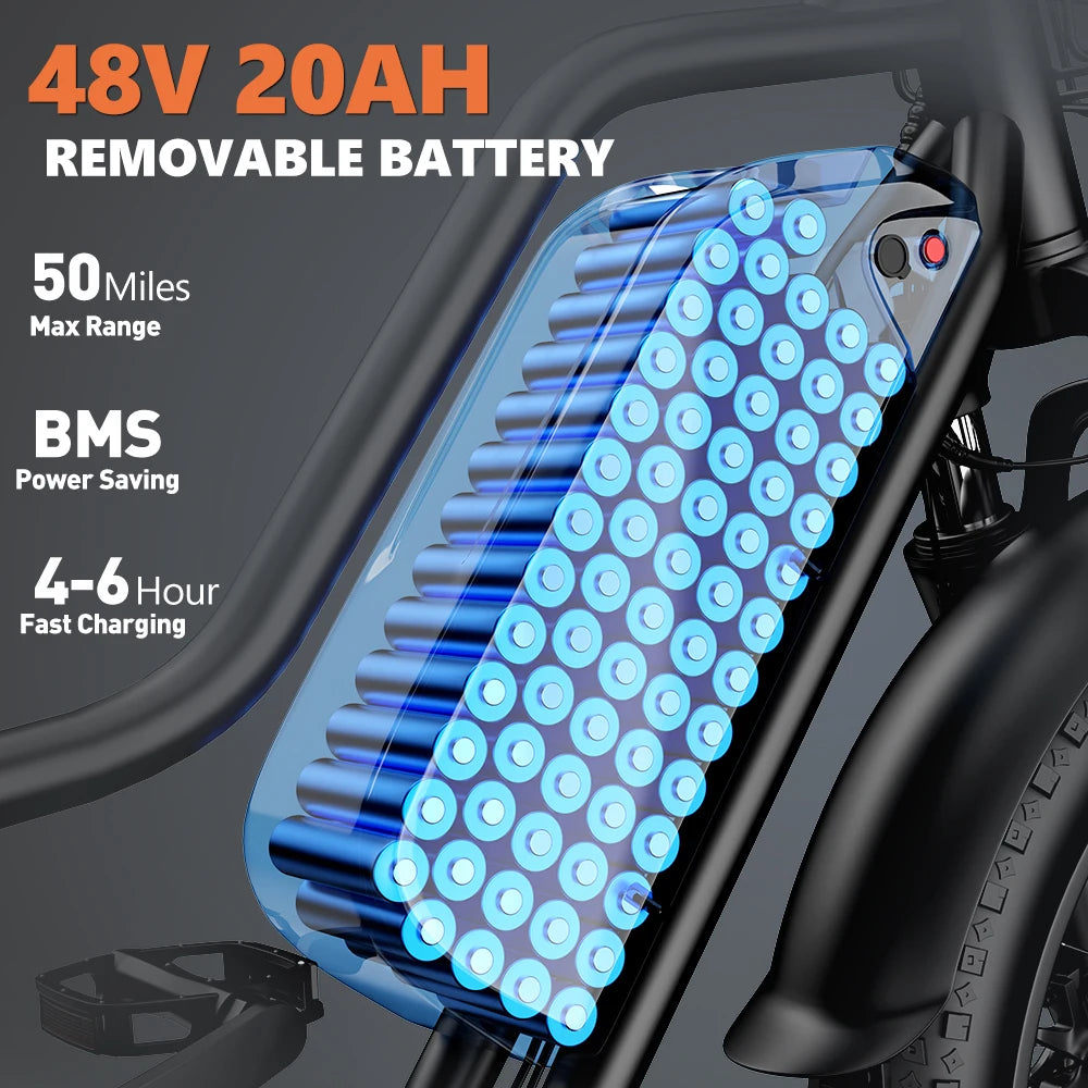Kickwey LD20 48V Electric Bike With Fat Tires
