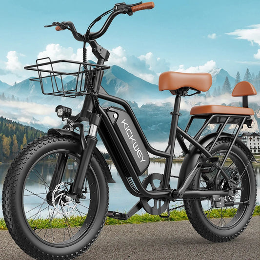 Kickwey LD20 48V Electric Bike With Fat Tires