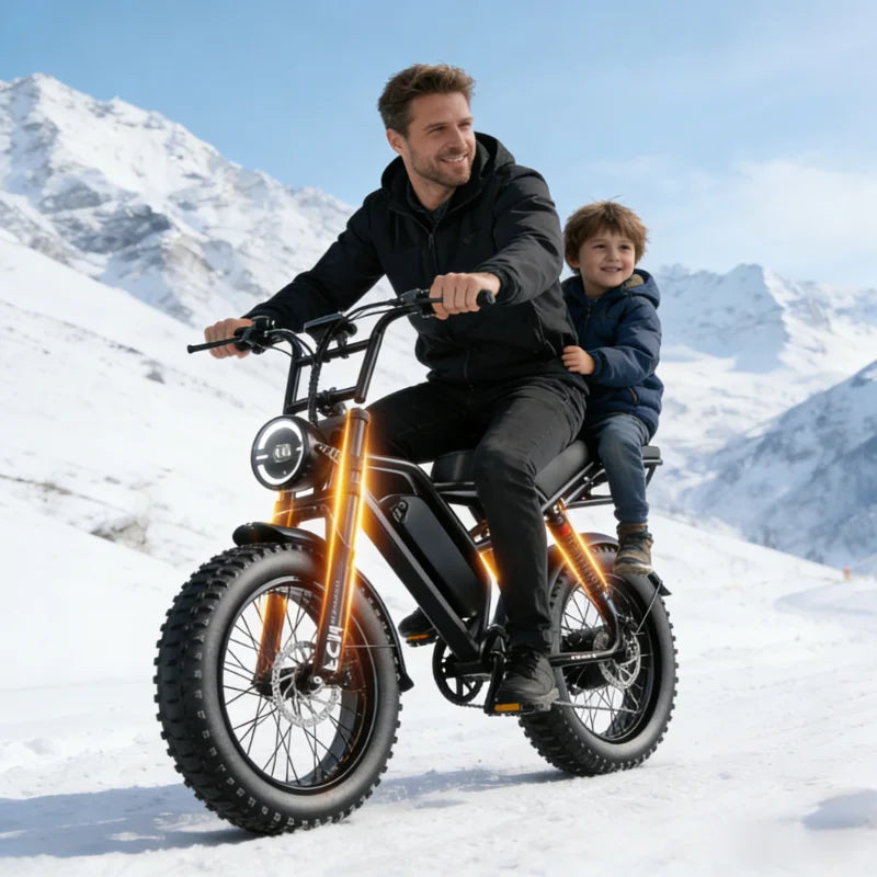 ZEFIORA 1000W Thick Tire Electric Bike Aluminum Alloy
