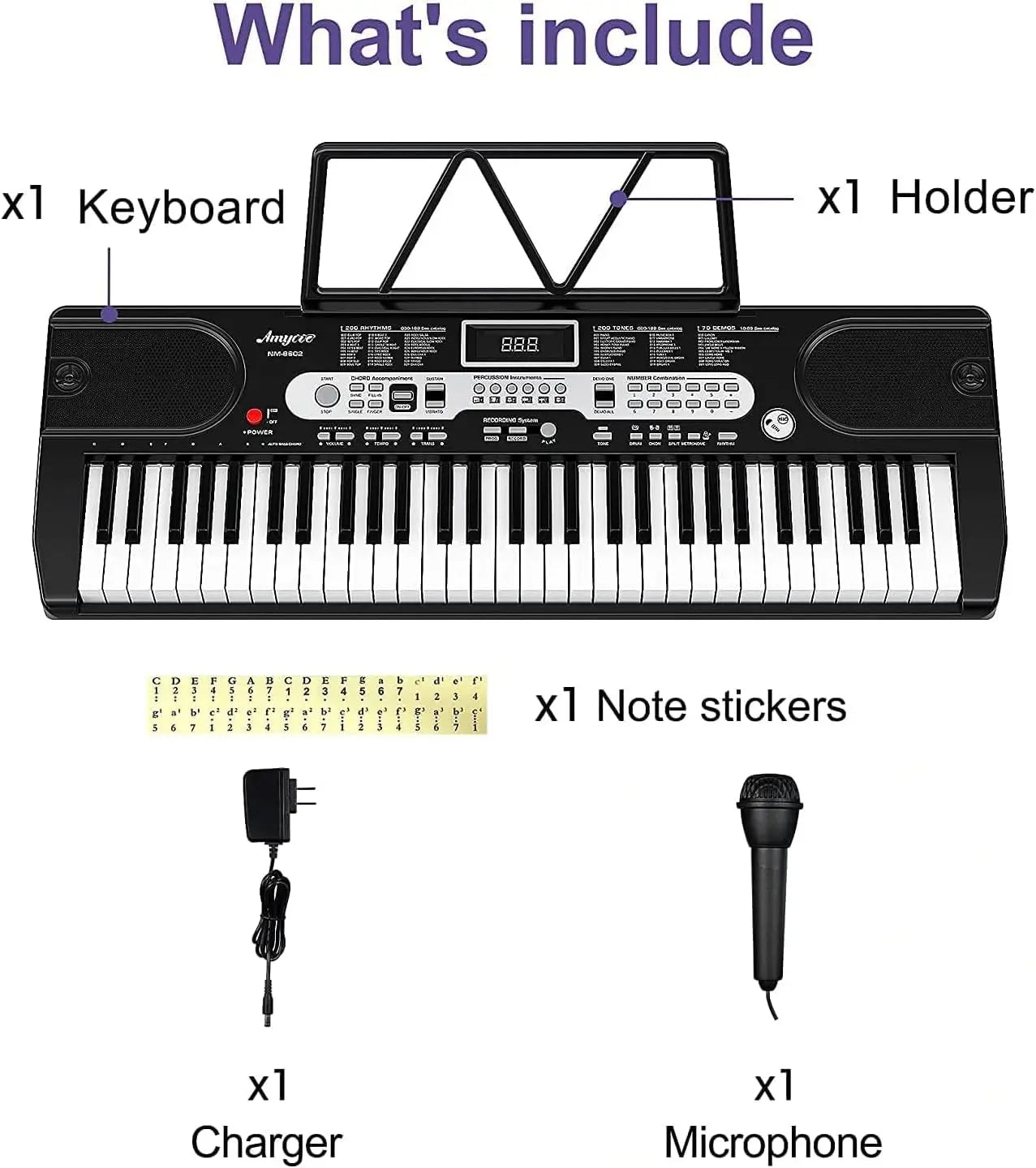 61 Key Keyboard Piano, Portable Electric Piano Keyboard with Microphone and Headphone Mode, Full Piano Keyboard