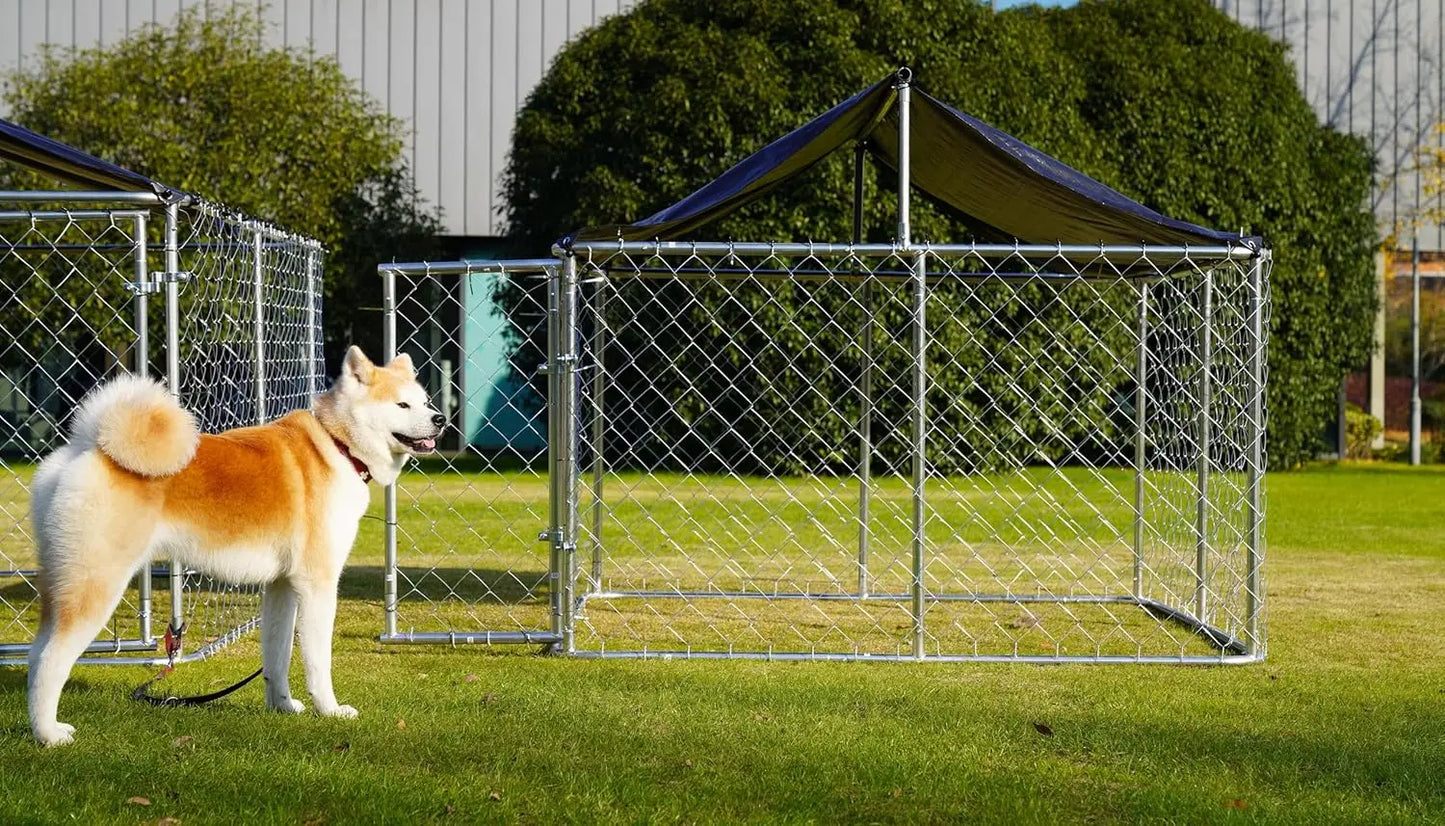 Heavy Duty Outdoor Dog Kennel With Secure Lock Steel Mesh