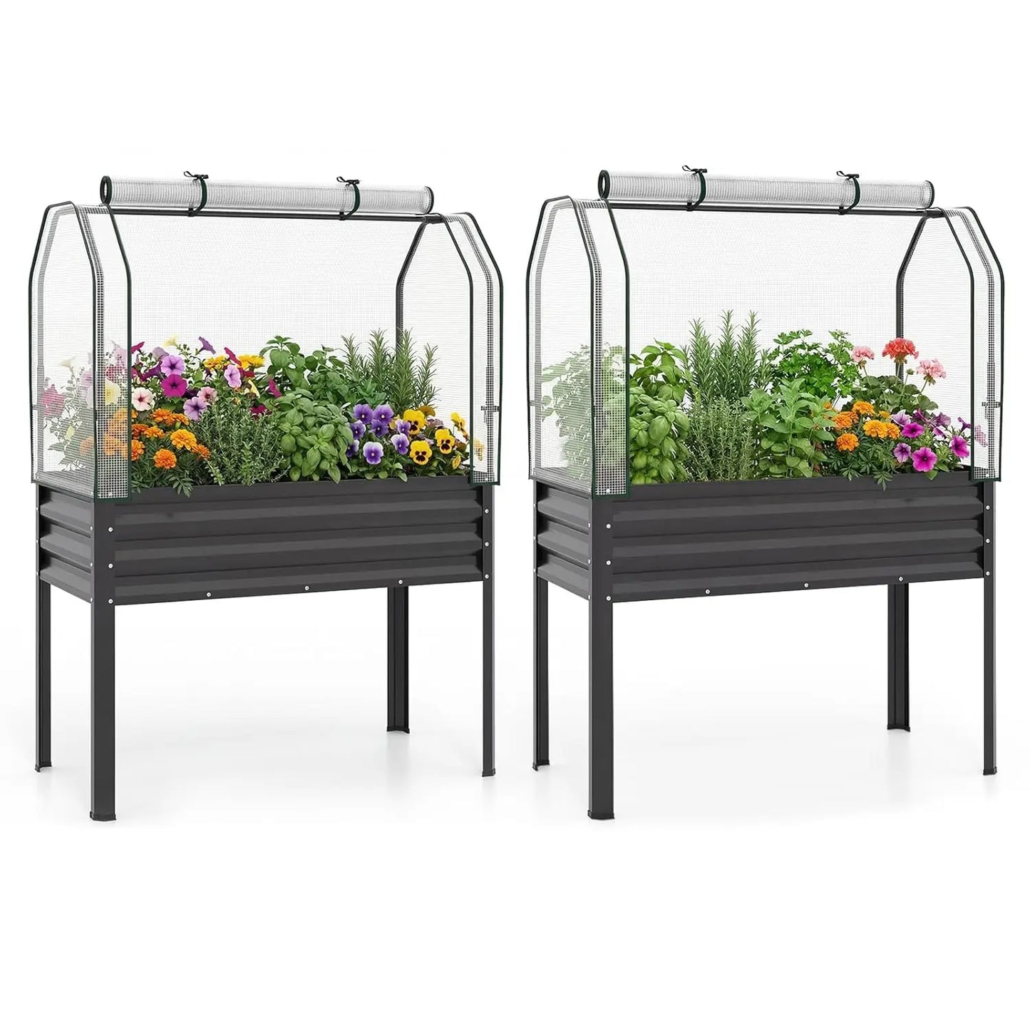 Raised Metal Garden Bed With Legs And Greenhouse Cover Roll Up Door
