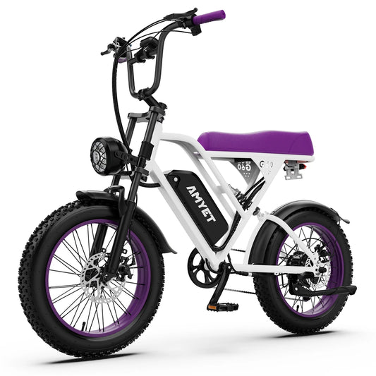 Am yet V9 G60 1000W Adults Electric Bike With 48V Battery