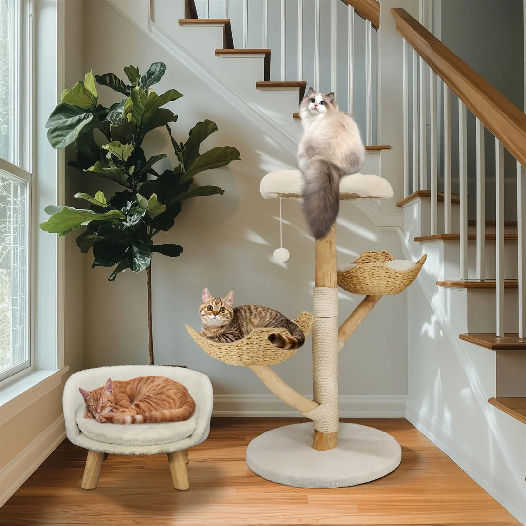 BINGOPAW CN Modern Cat Tree Climbing Tower With Scratching Post