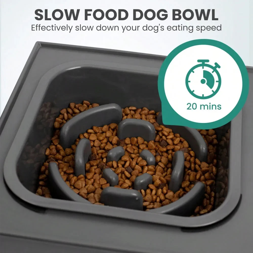 Elevated Stainless Steel Dog Bowl With Slow Feeder