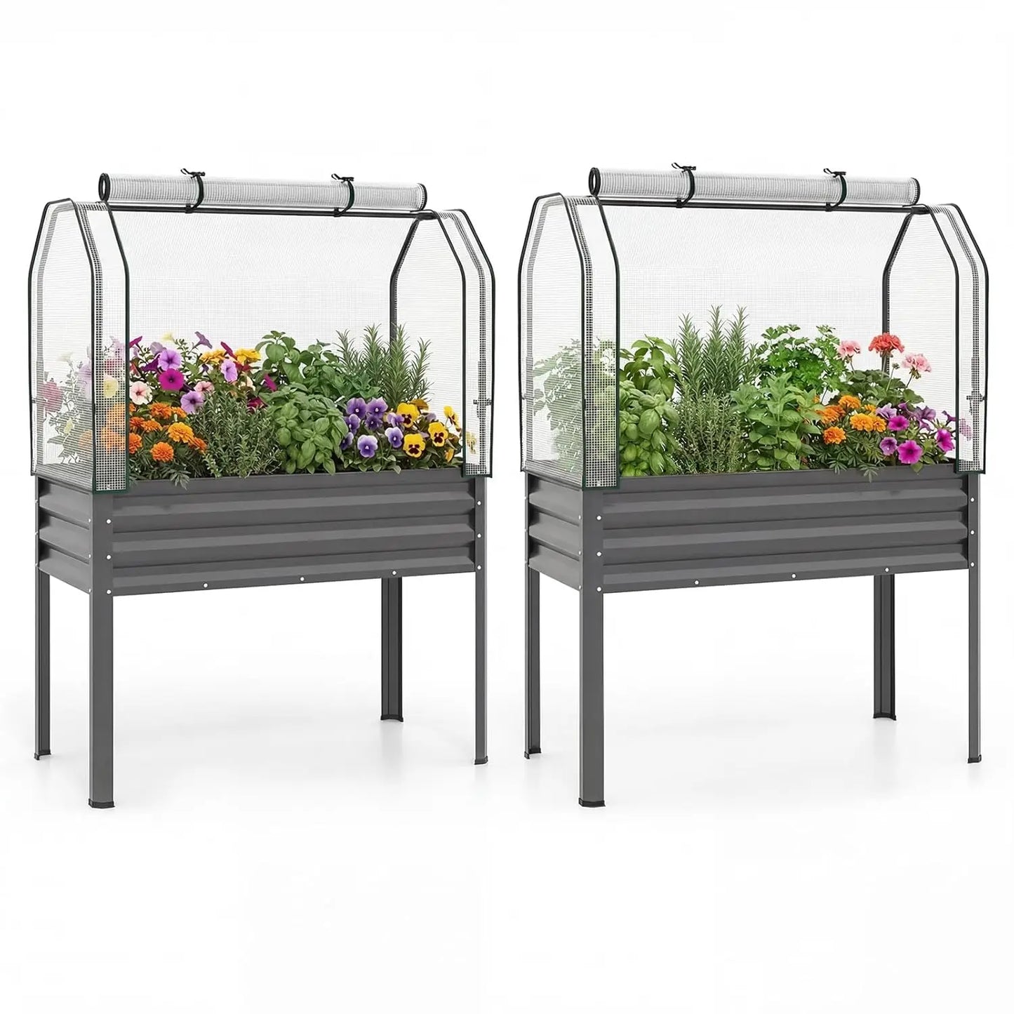 Raised Metal Garden Bed With Legs And Greenhouse Cover Roll Up Door
